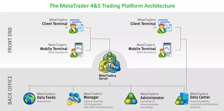 Meta Trader 4 and 5